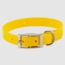 Yellow Beagle 3/4 in. Field Trial Dog Collar