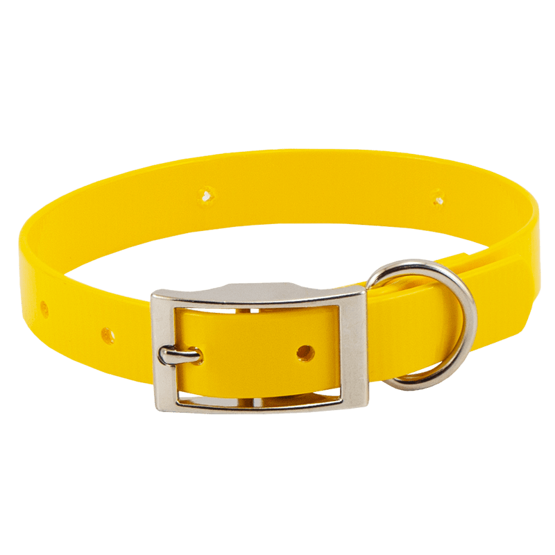 Yellow Beagle 3/4 in. Field Trial Dog Collar