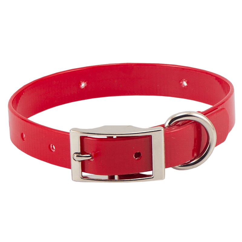 Red Beagle 3/4 in. Field Trial Dog Collar
