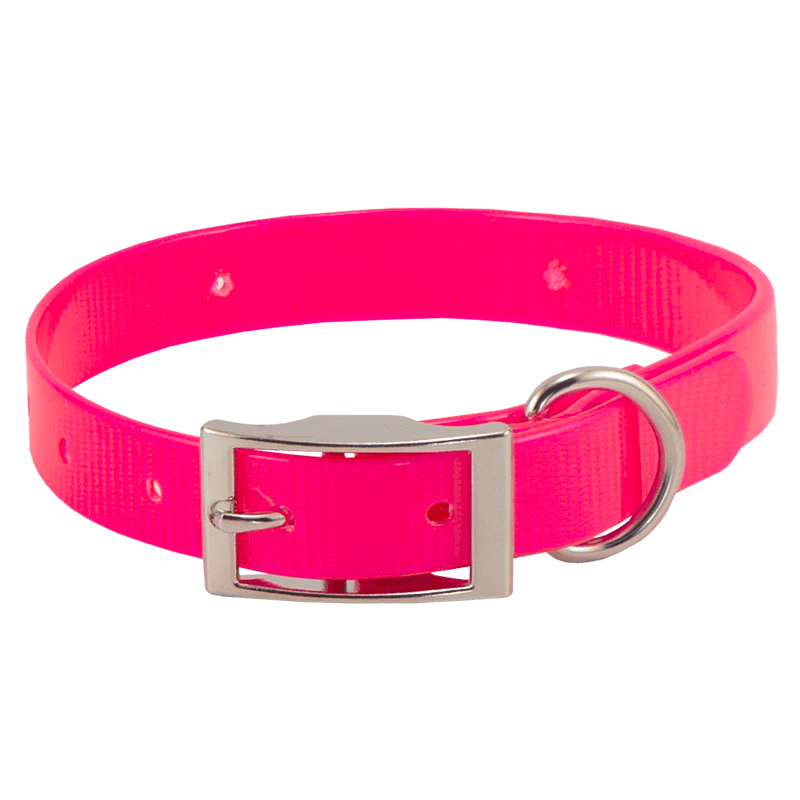 Pink Beagle 3/4 in. Field Trial Dog Collar
