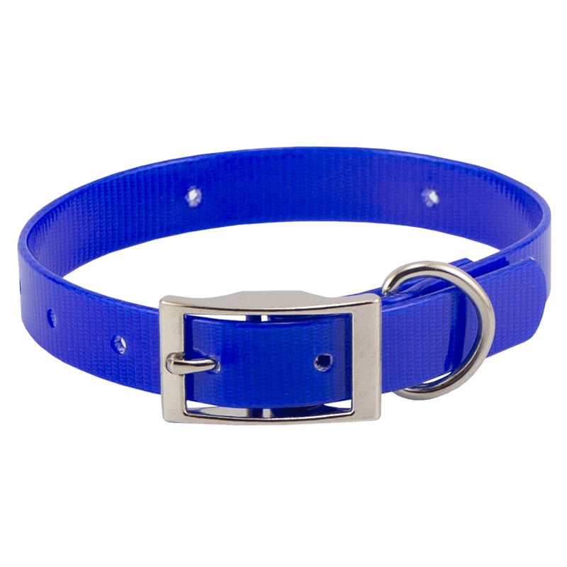 Blue Beagle 3/4 in. Field Trial Dog Collar