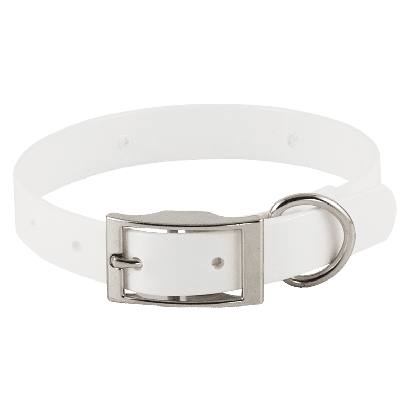 White Beagle 3/4 in. Field Trial Dog Collar