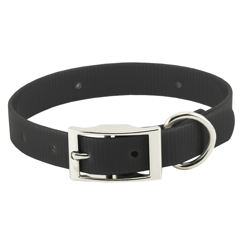 Black Beagle 3/4 in. Field Trial Dog Collar