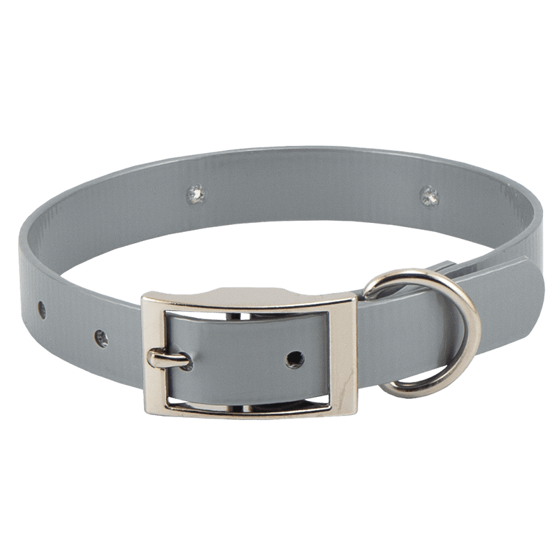 Silver Beagle 3/4 in. Field Trial Dog Collar