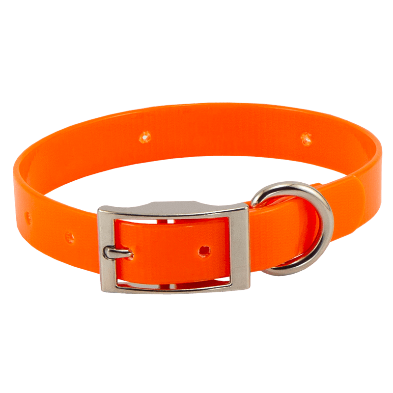 Orange Beagle 3/4 in. Field Trial Dog Collar