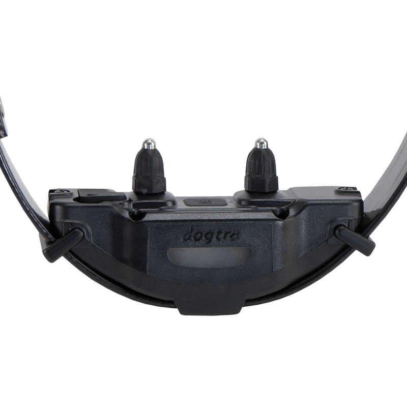 Additional Collar Front Detail