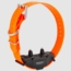 Orange Additional Collar