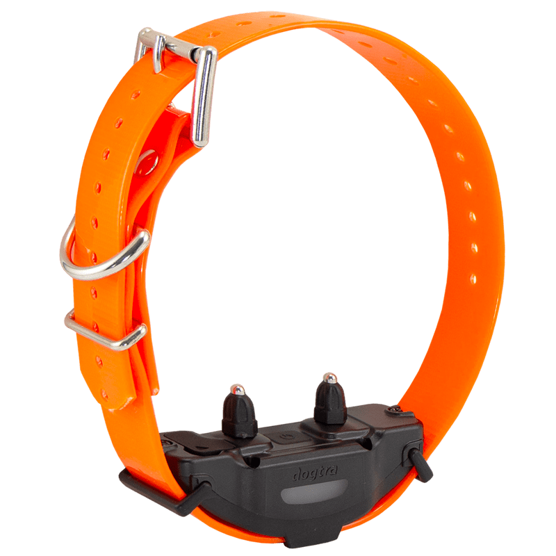 Orange Additional Collar