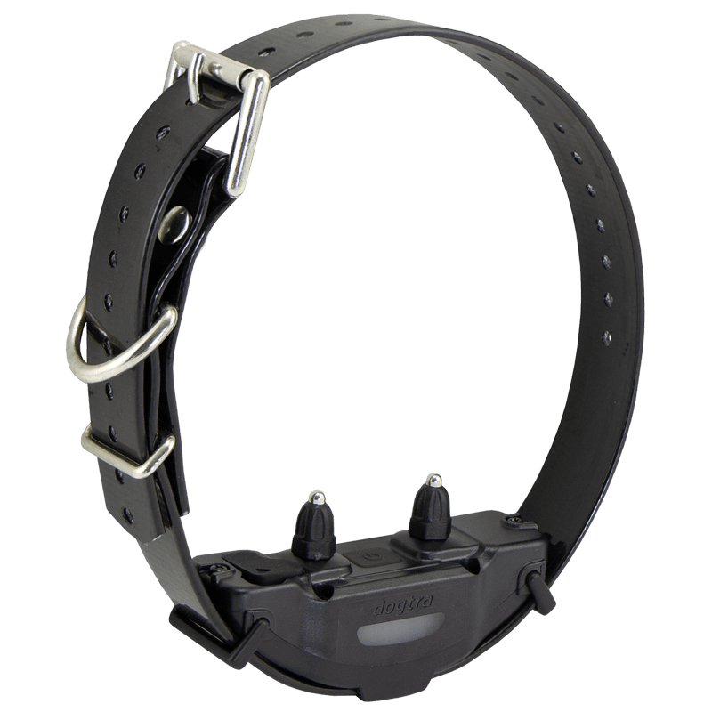 Black Additional Collar