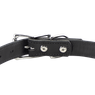 Black Leather Dog Collar Back Buckle Detail
