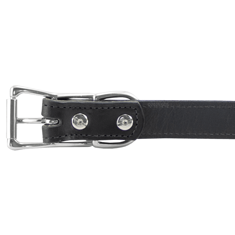 Black Leather Dog Collar Buckle Detail