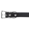 Black Leather Dog Collar Buckle Detail