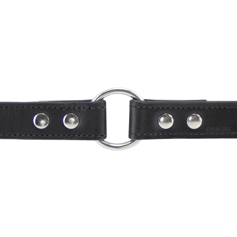 Black Leather Dog Collar Outside Center Ring Detail