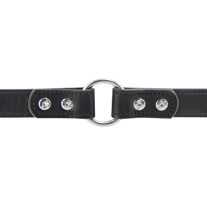 Black Leather Dog Collar Inside Center Ring Detail