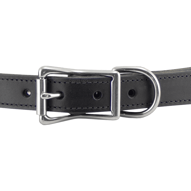 Black Leather Dog Collar Front of Buckle Detail