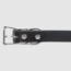 Black Leather Dog Collar Buckle Detail