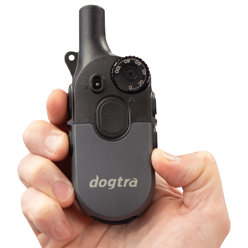 Dogtra 200iQ Transmitter in Hand