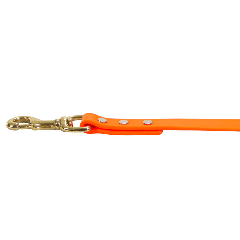 Biothane Combo Lead Snap Detail