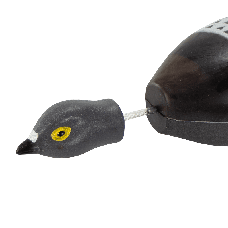 Dokken's Dead Fowl Pigeon Head Detail