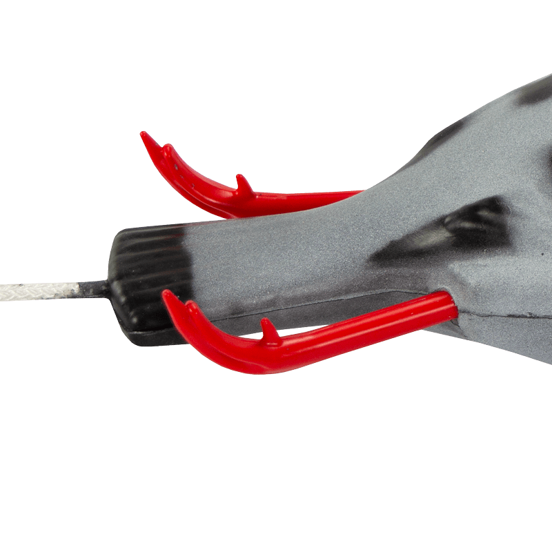 Dokken's Dead Fowl Pigeon Feet Detail