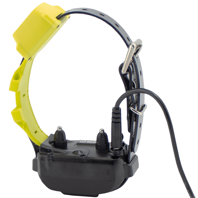 GPS Fence Collar on Charger Detail