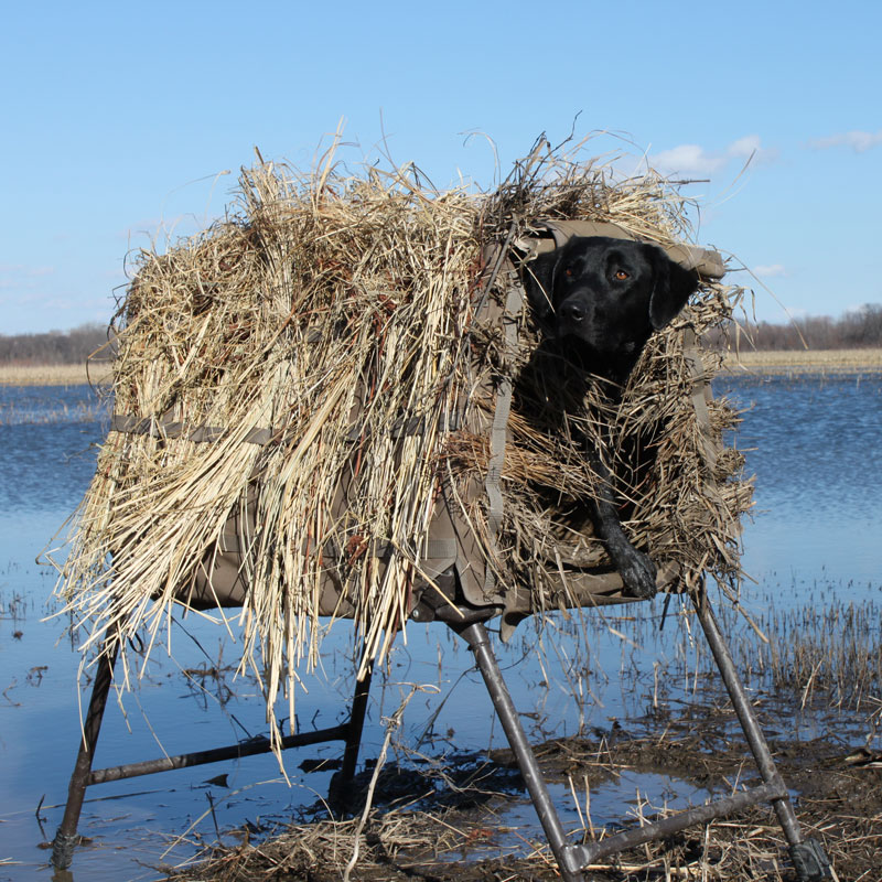 Invisilab Blind In Use