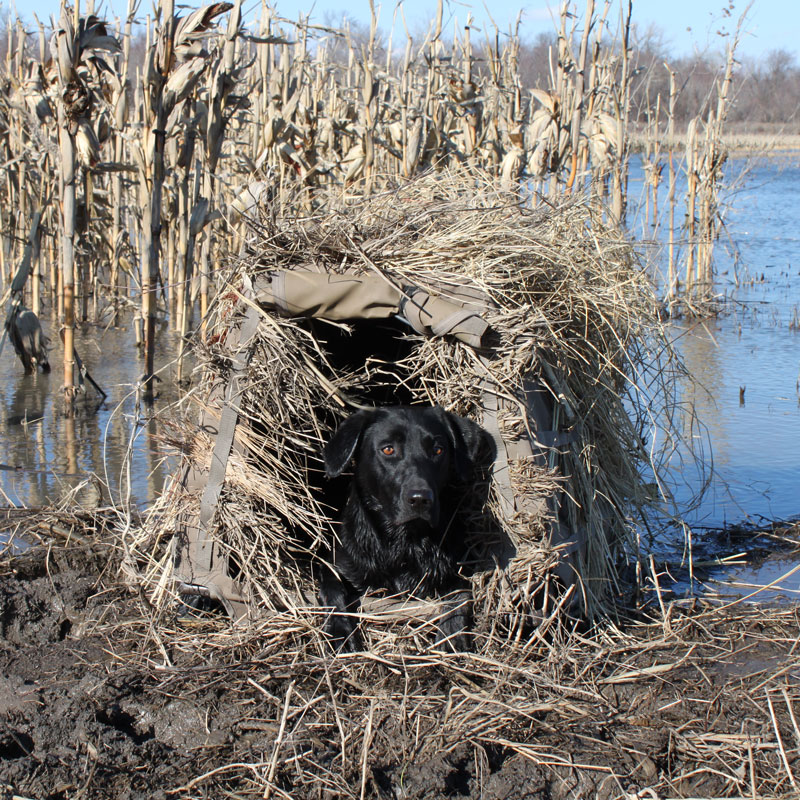 Invisilab Blind In Use