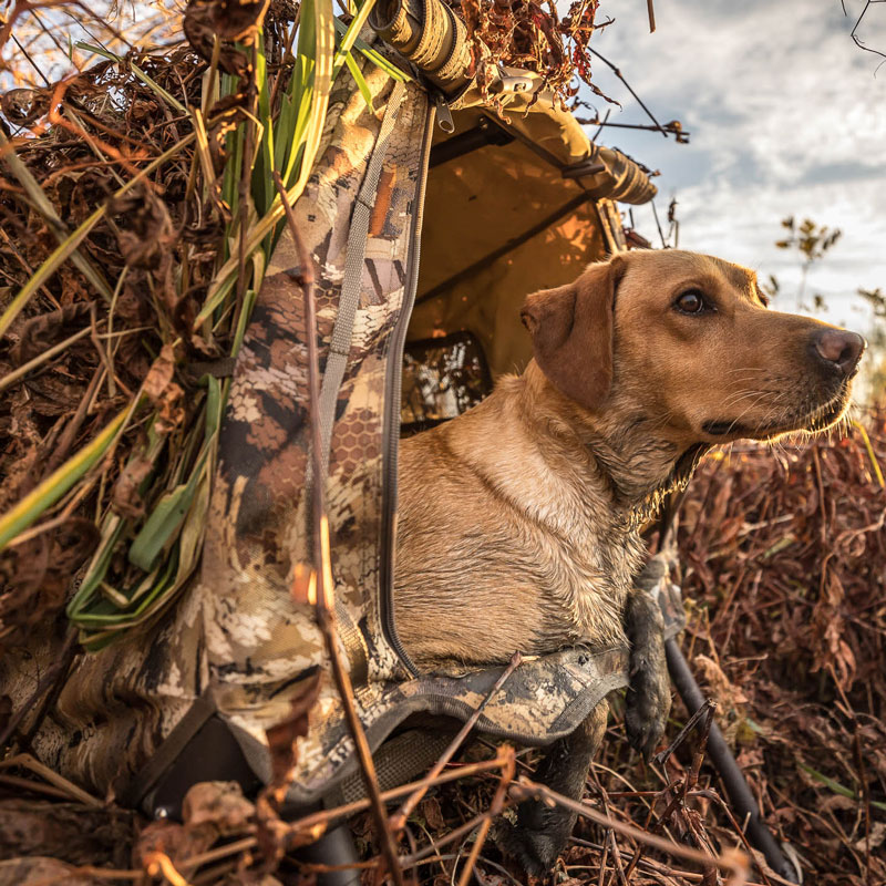 Invisilab Blind In Use
