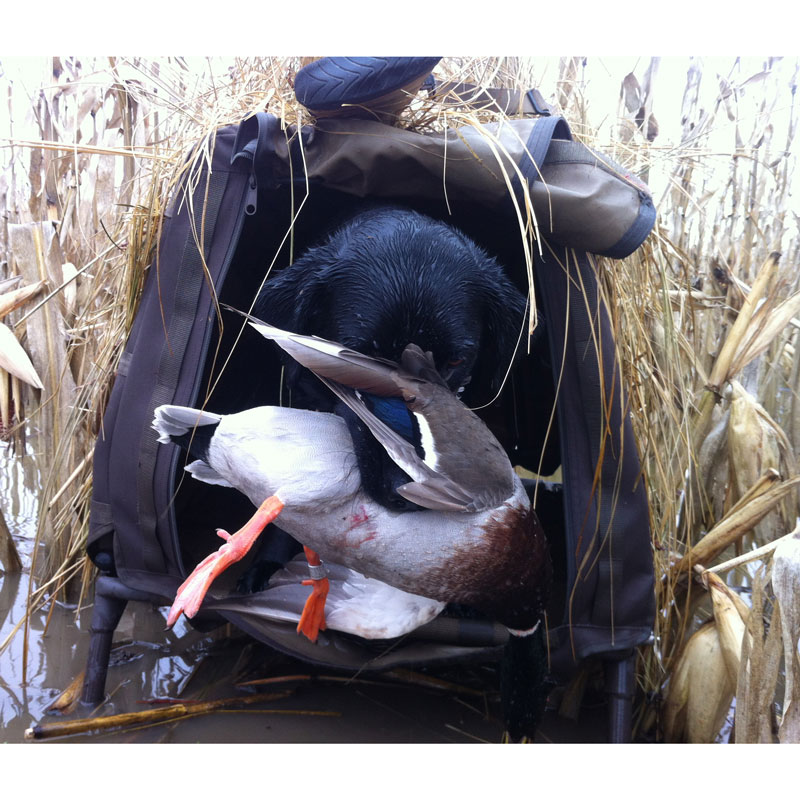 Invisilab Blind In Use