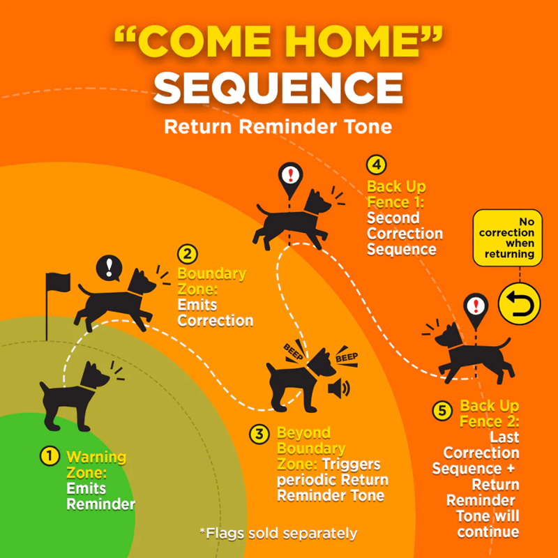 GPS Fence Collar Sequence Detail