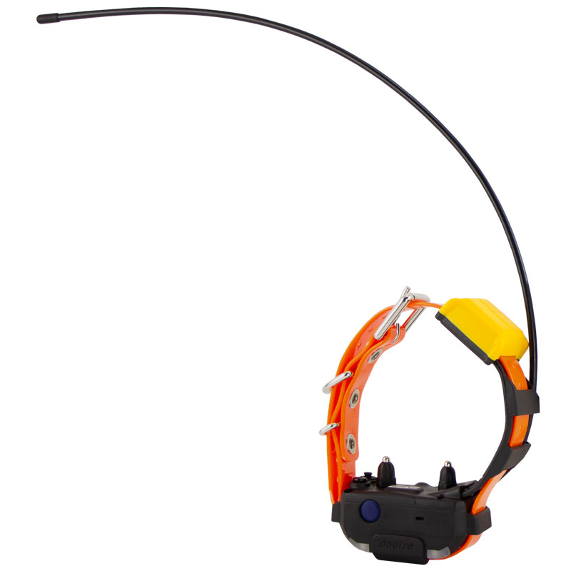 Pathfinder 2 Mini Compass Collar