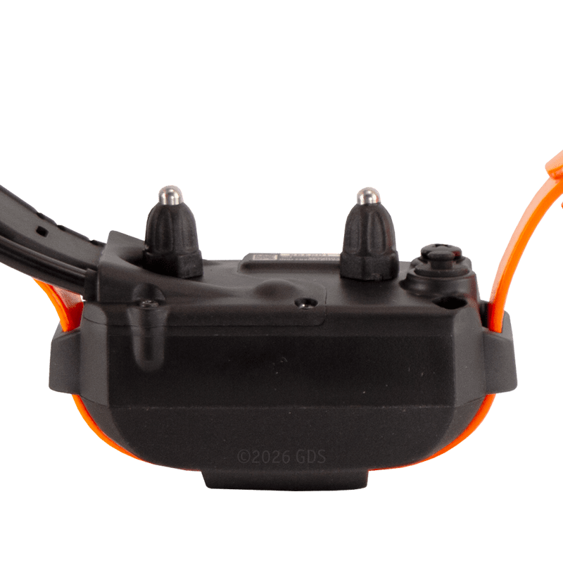 Pathfinder 2 Mini Compass Collar Back Detail