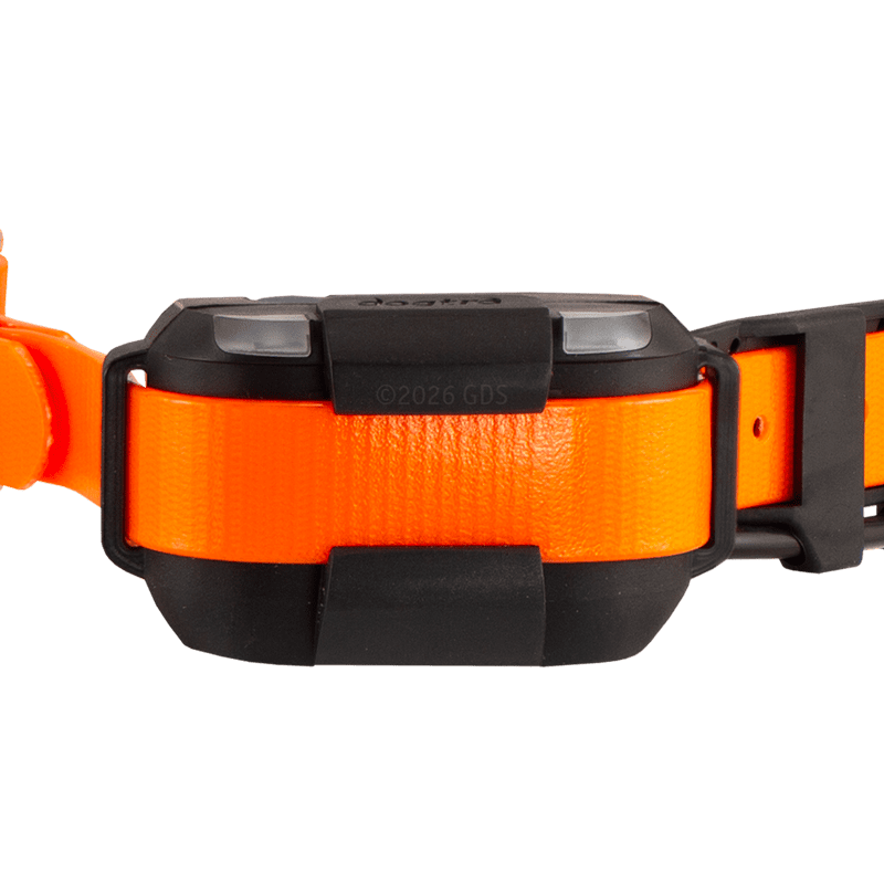 Pathfinder 2 Mini Compass Collar Bottom Detail