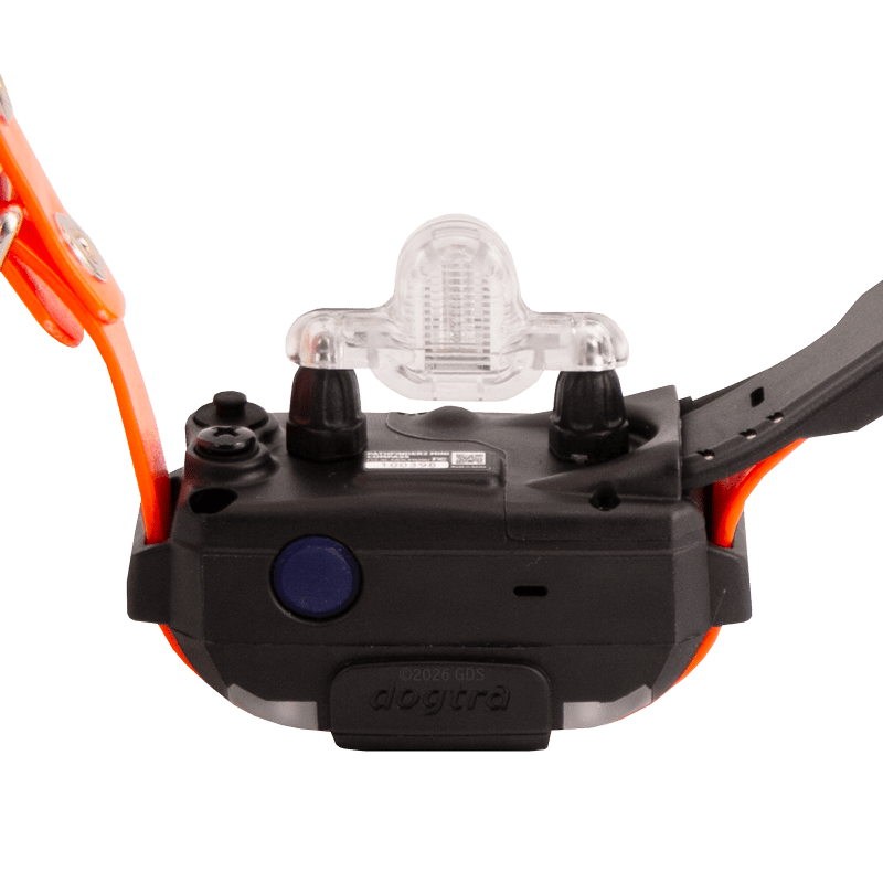 Pathfinder 2 Mini Compass Collar Test Light