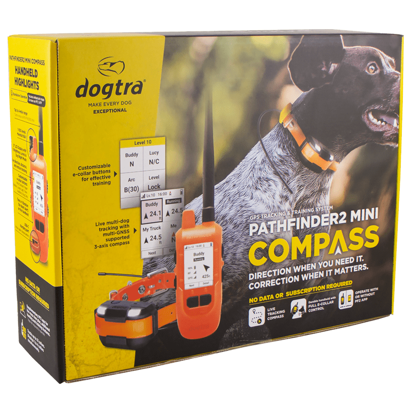 Pathfinder 2 Mini Compass Box Detail