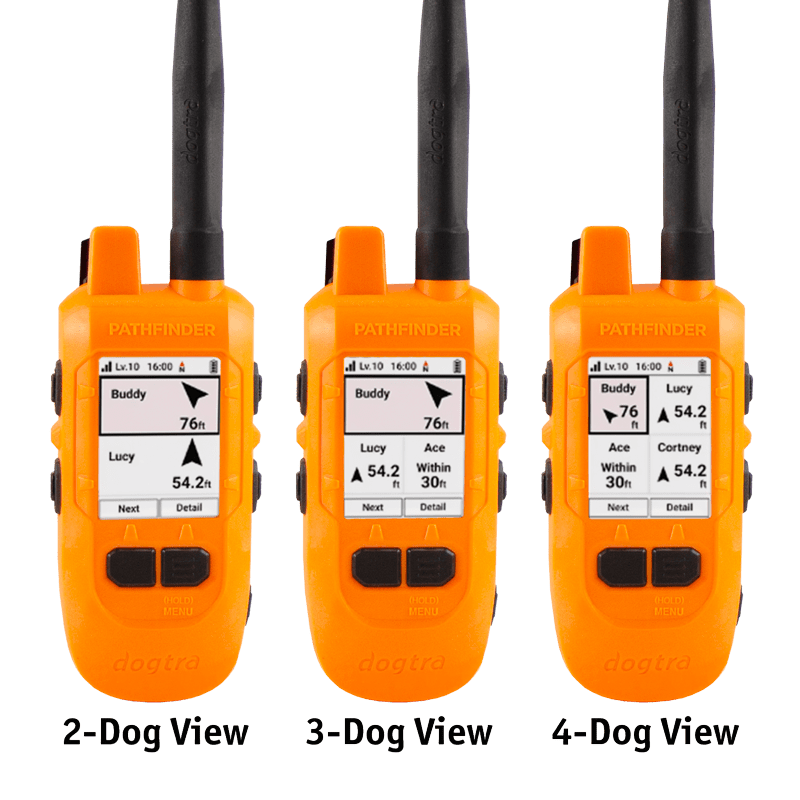 Pathfinder 2 Mini Compass Multi-Dog Screen Detail
