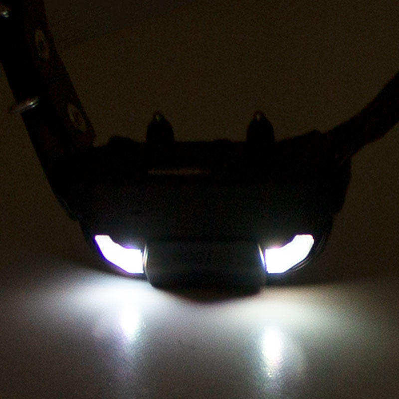 Pathfinder 2 Mini Compass Collar LED Lights Detail