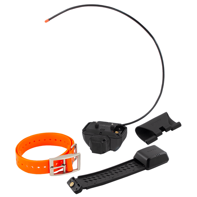 TT25 Beeper Disassembled