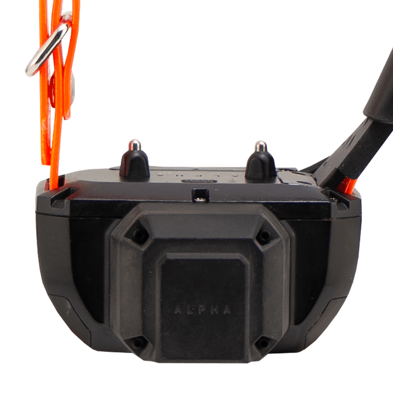 TT25 Beeper Front Detail