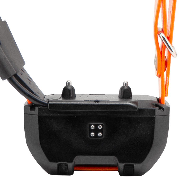 TT25 Beeper Back Detail