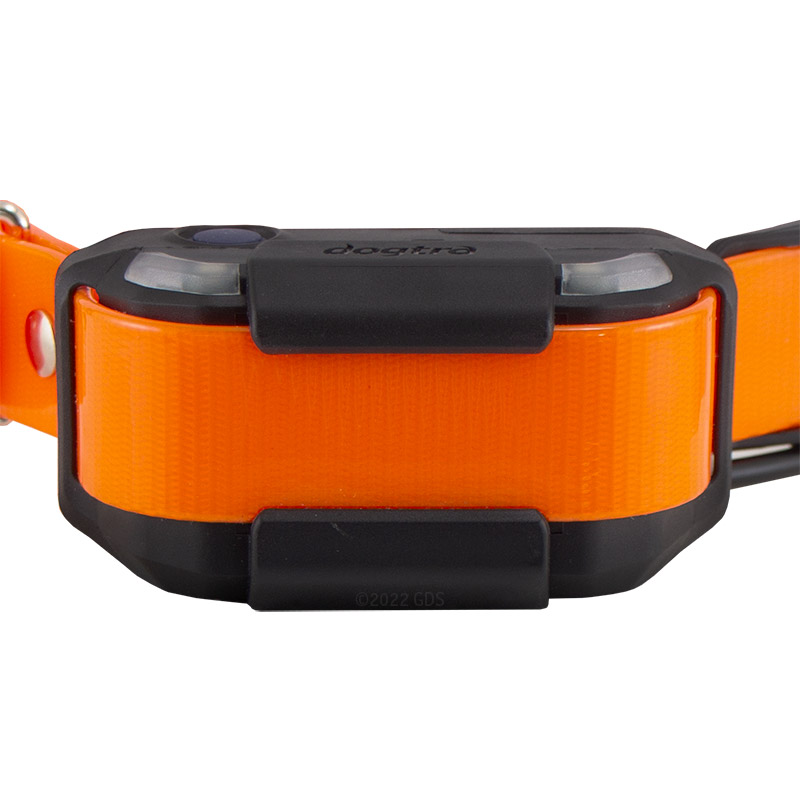 Pathfinder 2 Compass Collar Bottom Detail