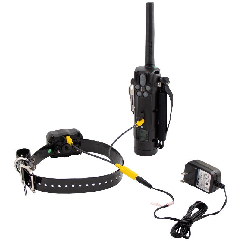 SPR5200 Transmitter and Collar on Charger Detail