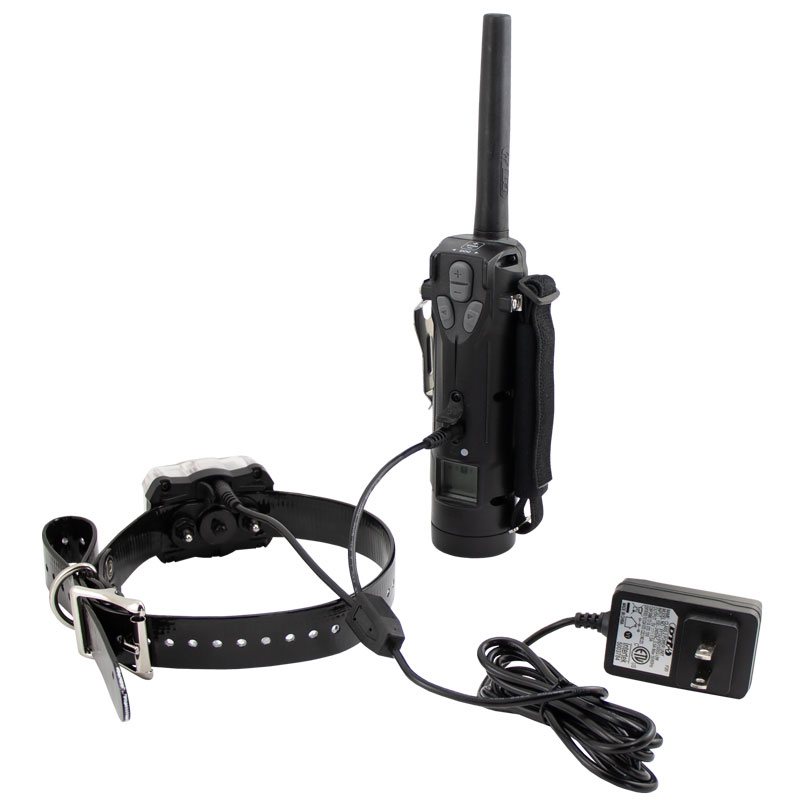 SPR5000 Transmitter and Collar on Charger Detail
