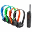 Dogtra Edge RT2 4-Dog