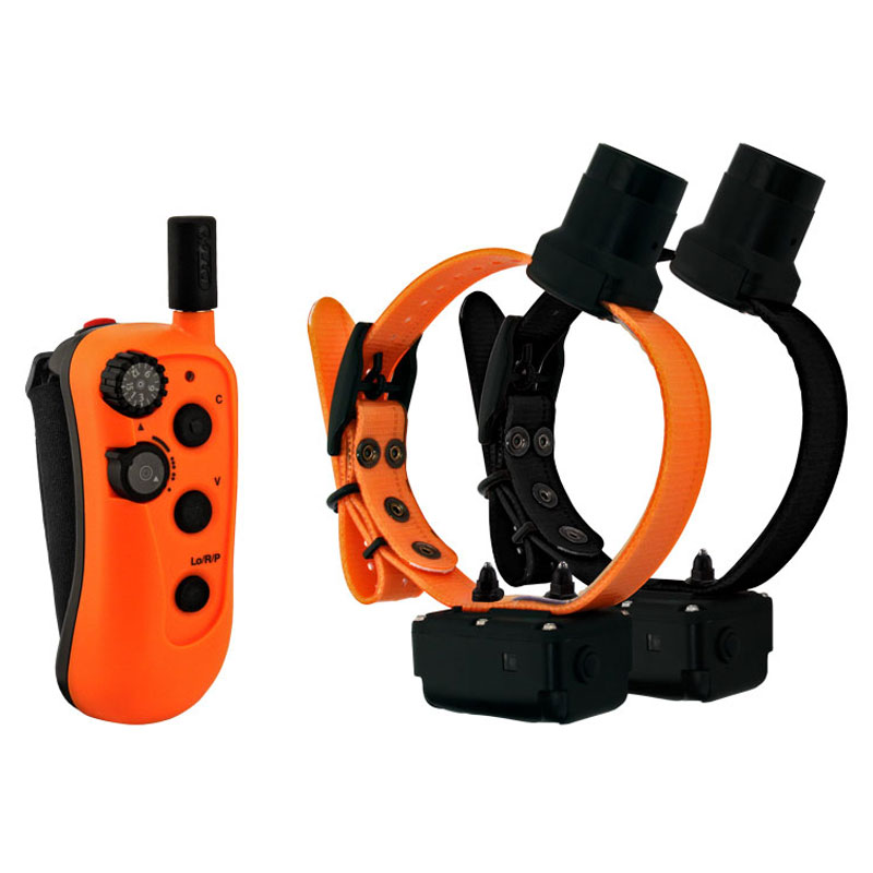 DT Systems R.A.P.T. 1450 2-Dog