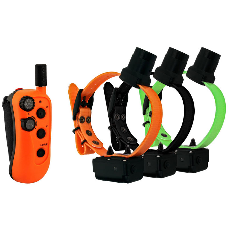 DT Systems R.A.P.T. 1450 3-Dog