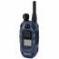 Dogtra 280X Pro Transmitter Angled