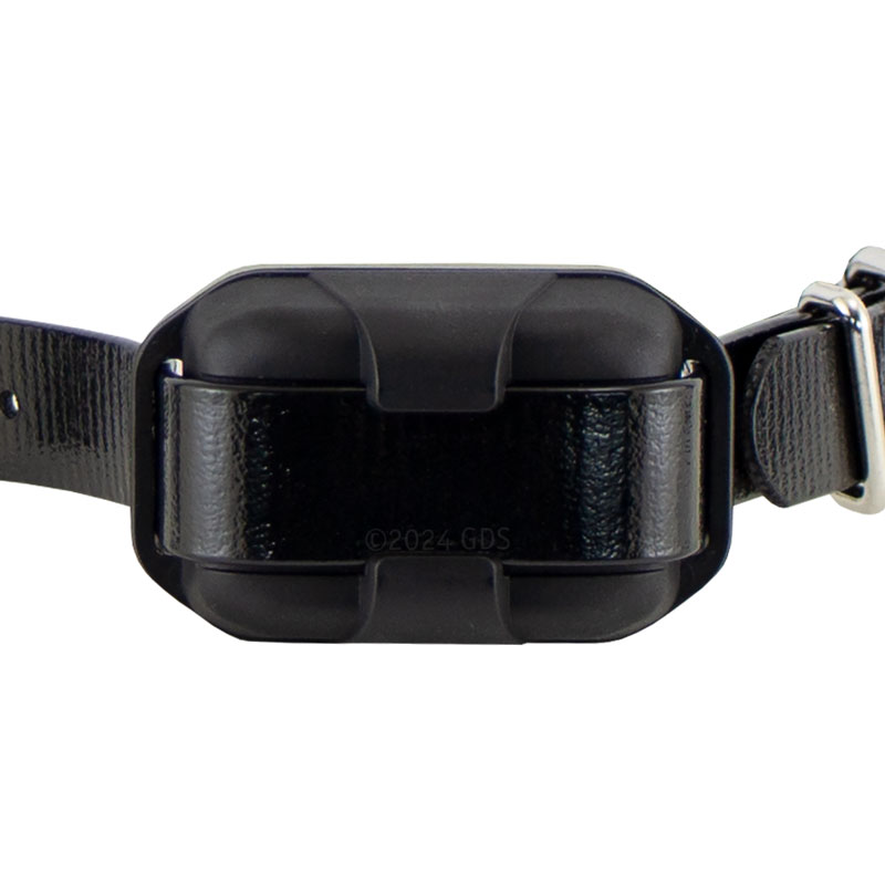 Dogtra 280X Pro Receiver Bottom Detail