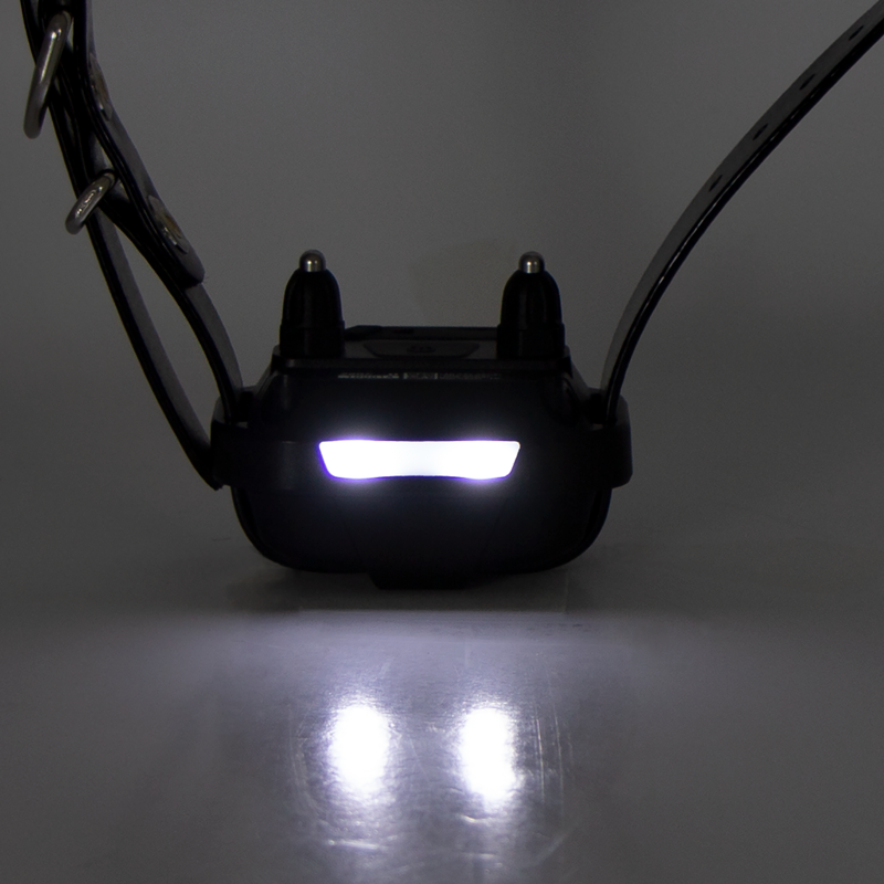 Dogtra 280X Pro Receiver with Lights Detail