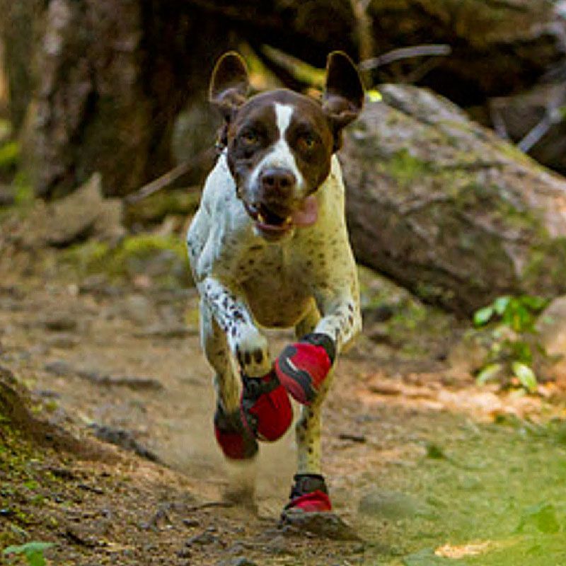 RED Grip Trex Dog Boots by Ruff Wear Set of 2. 39.95.